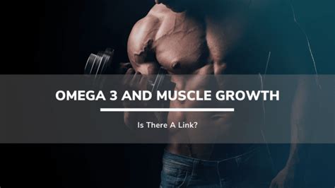 omega 3 for muscle growth